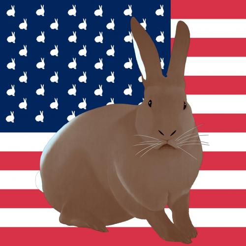 MARRON GLACE FLAG rabbit flag Showroom - Inkjet on plexi, limited editions, numbered and signed. Wildlife painting Art and decoration. Click to select an image, organise your own set, order from the painter on line